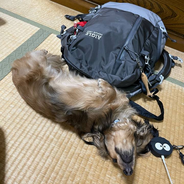 B8287878 6f13 4c9a 9d15 75cd878fa9b4 1661956323663