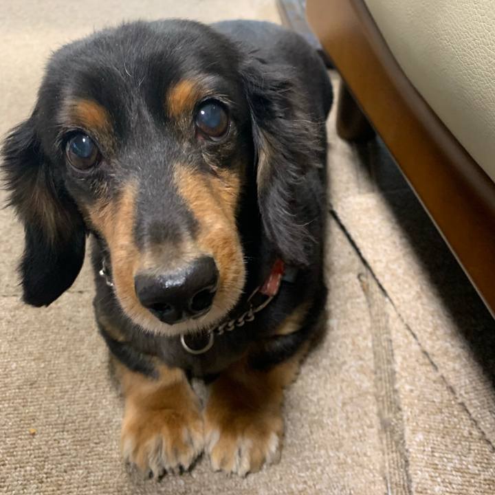 B8288bc8 f91d 46d6 ba39 43801b4db993 1572472063475