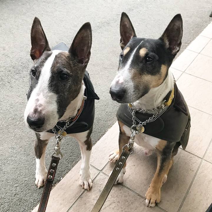 B828dc91 a6ba 45eb 917b 3719ee5fd0a9 1519548347366