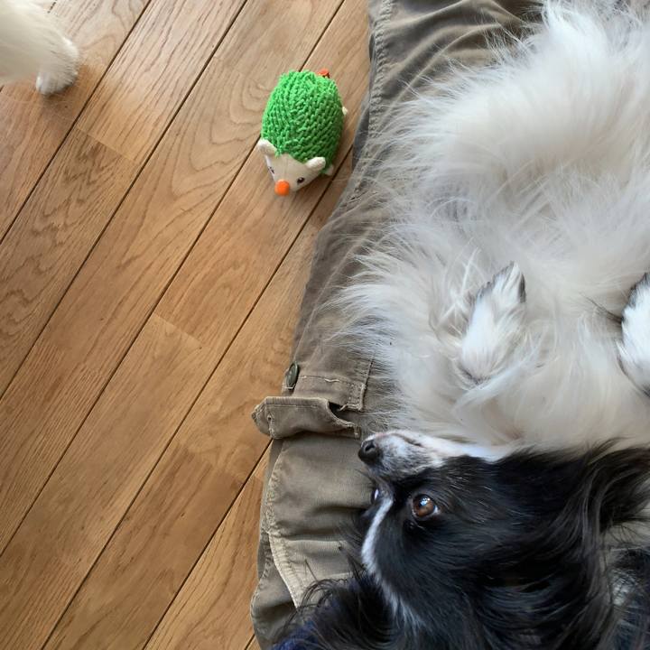 B8290a47 8cd5 4561 96ef d220601f91d8 1549236812513