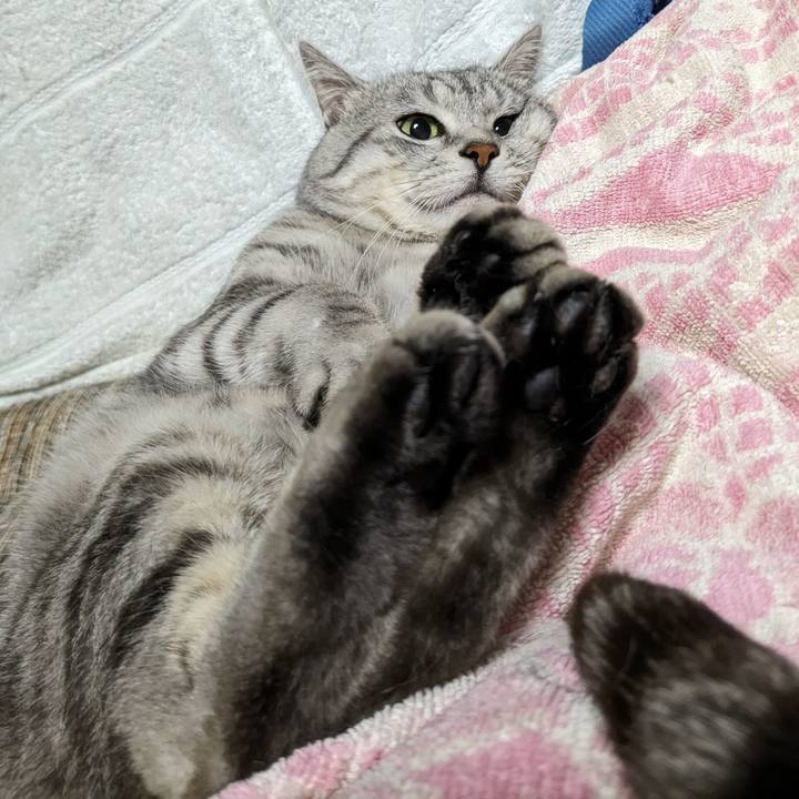 B8296f91 f420 4de2 9410 5c29d376cc89 1718553064795