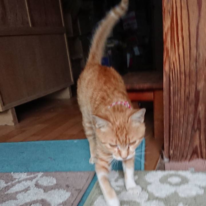 B82975fe 3daf 4a44 aaab 58ba2263b239 1559899479222