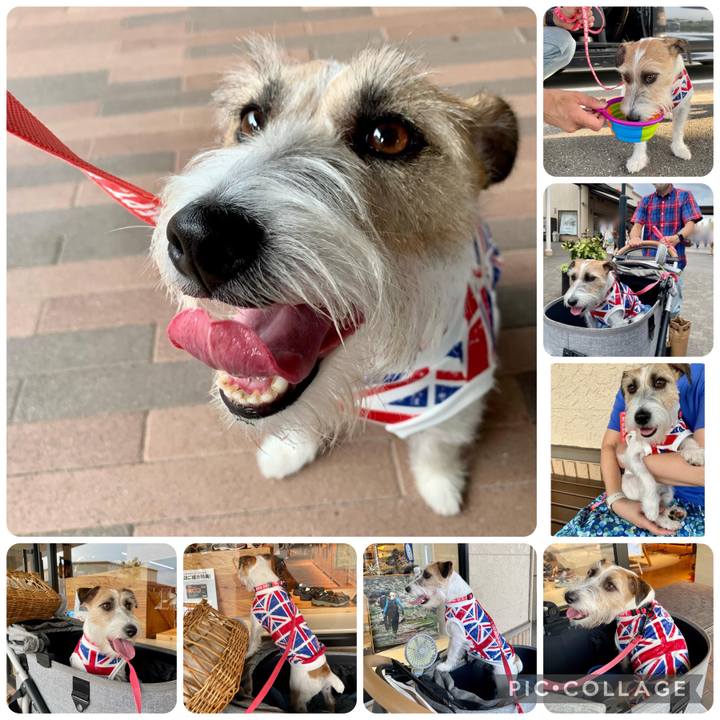 B829a292 0cb3 4e2d b5b1 659d39def07b 1659790654286