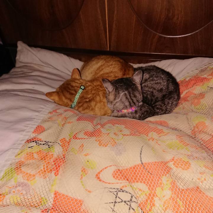 B829a3f4 6787 4244 8091 f623305d61a3 1580922785697