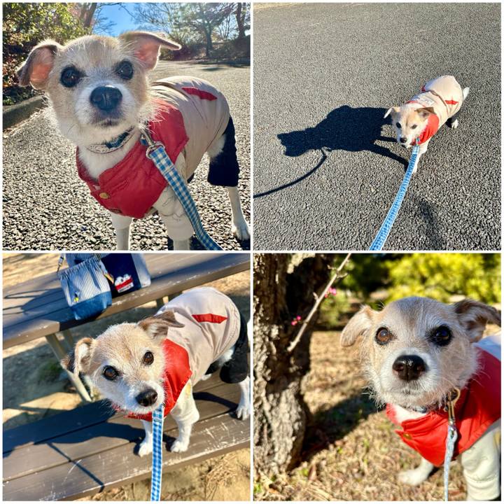 B829a476 5a73 4774 80f8 81085bb6db23 1705641918200