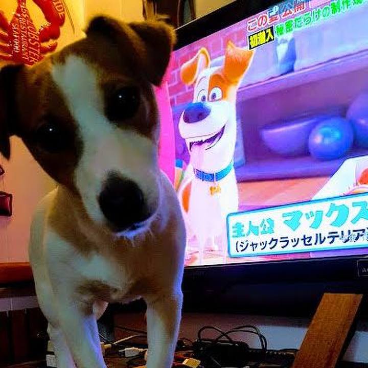 B829ba60 06a3 4d80 80ce 4b7d25ca5556 1563620084374