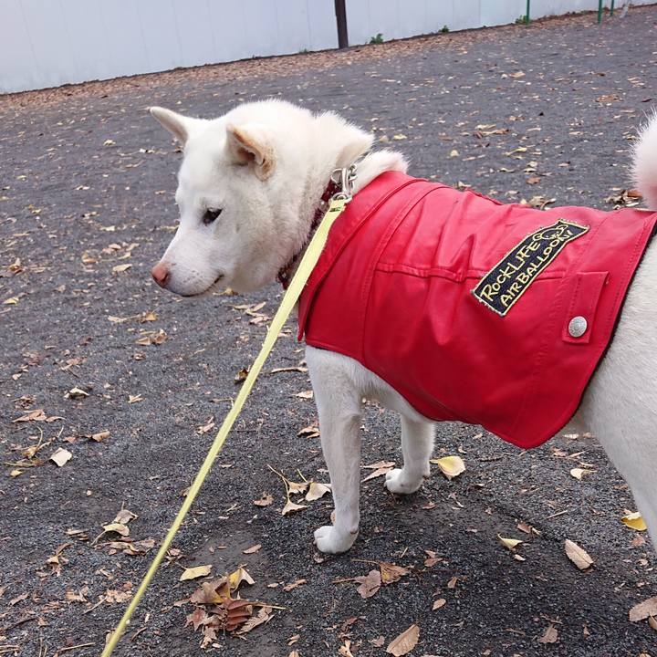 B82a1442 f1c7 4259 b585 8bb827f5e397 1542681456936