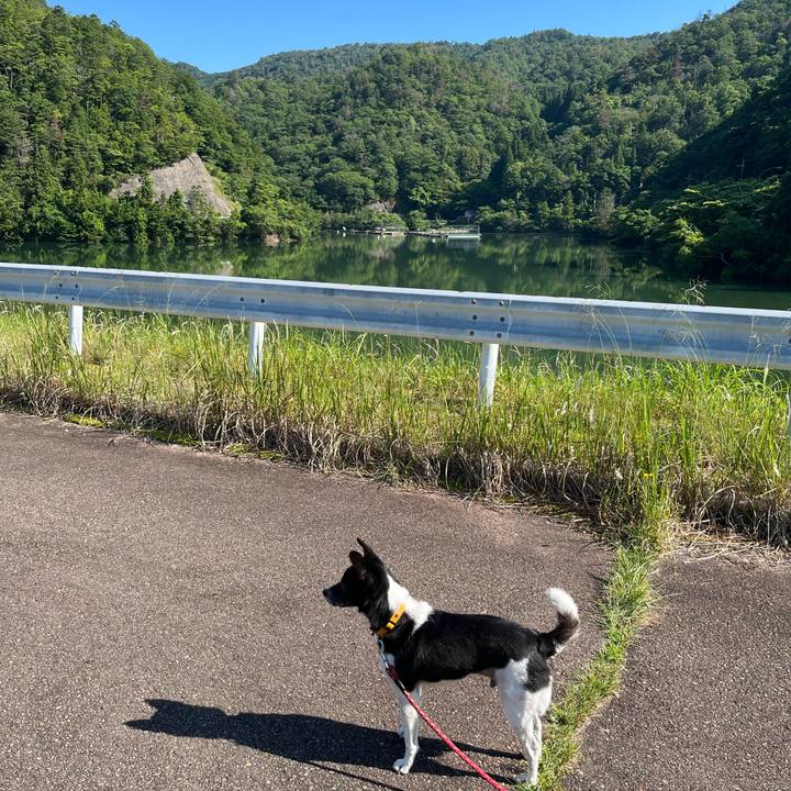 B82a29b6 2eed 4f56 8c0c fb6bc16d7b95 1686964698295