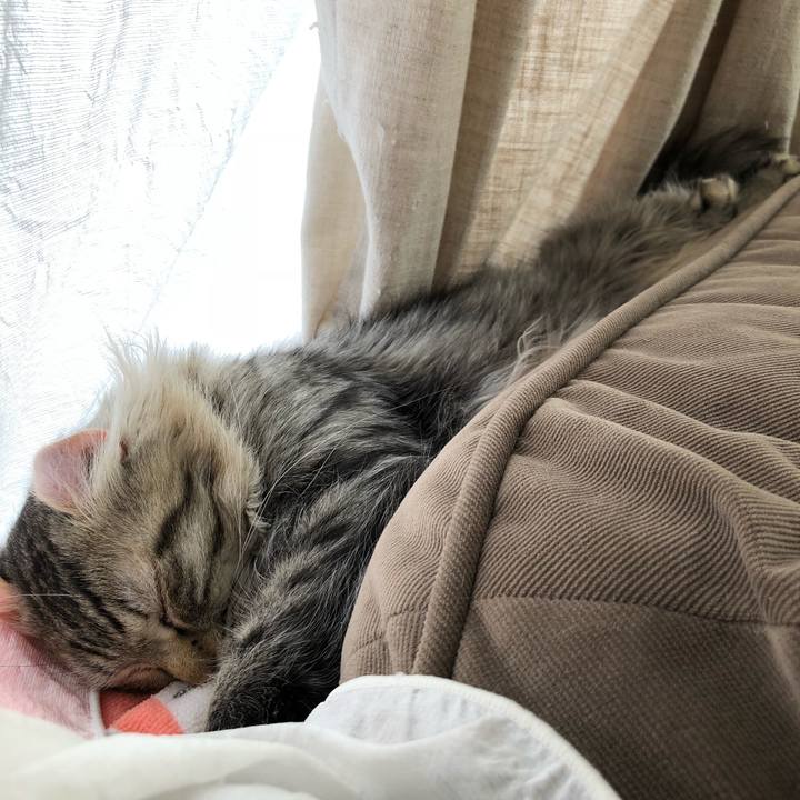 B82a309b 39d2 4054 9a0d 486346720c4b 1523857842975