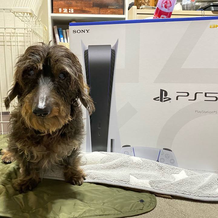 B82a4d70 5fa4 428f af31 d0920884bb6a 1605179504123