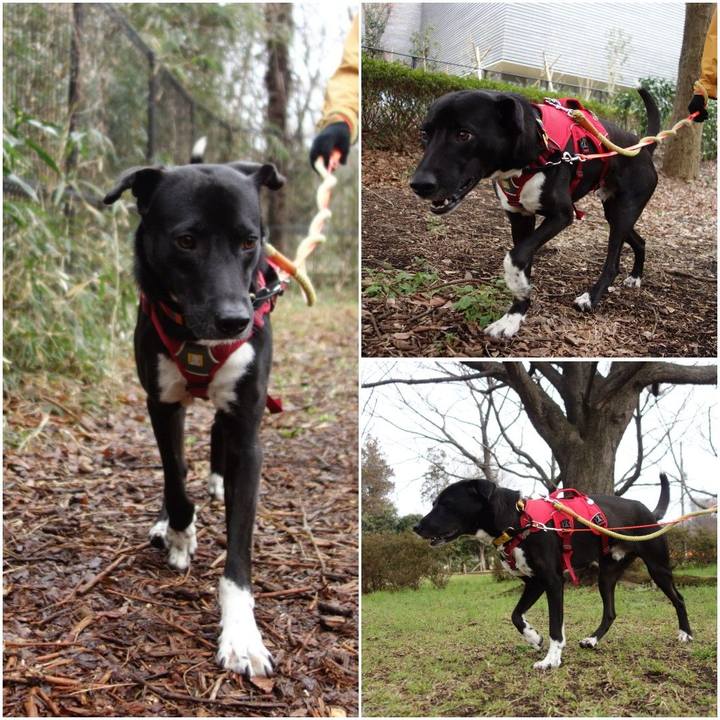 B82a4f53 038e 485d 8615 1e9379a15501 1583715707674