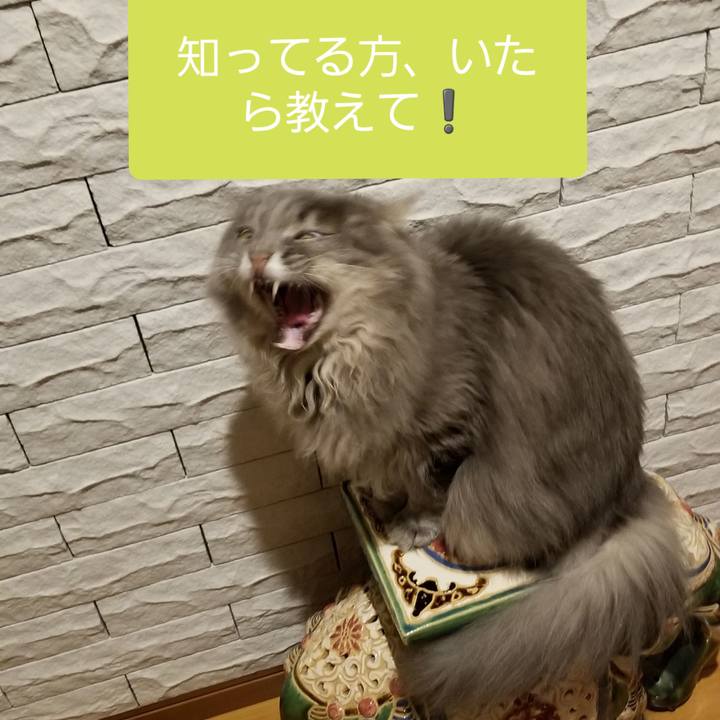 B82a5835 a005 4456 b93f ee710065b9b5 1542358004626