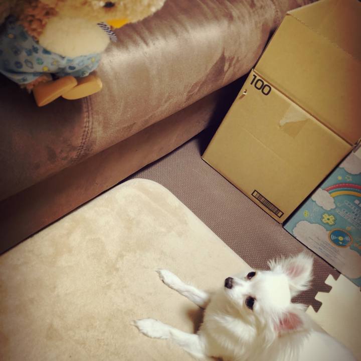 B82aac68 880c 492e a3a8 6050f65c2a70 1527415362565