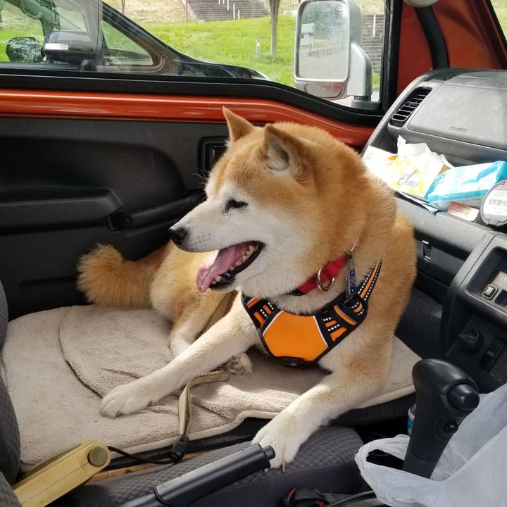 B82ab197 de99 4283 93c9 71a42c28fff5 1716099378319