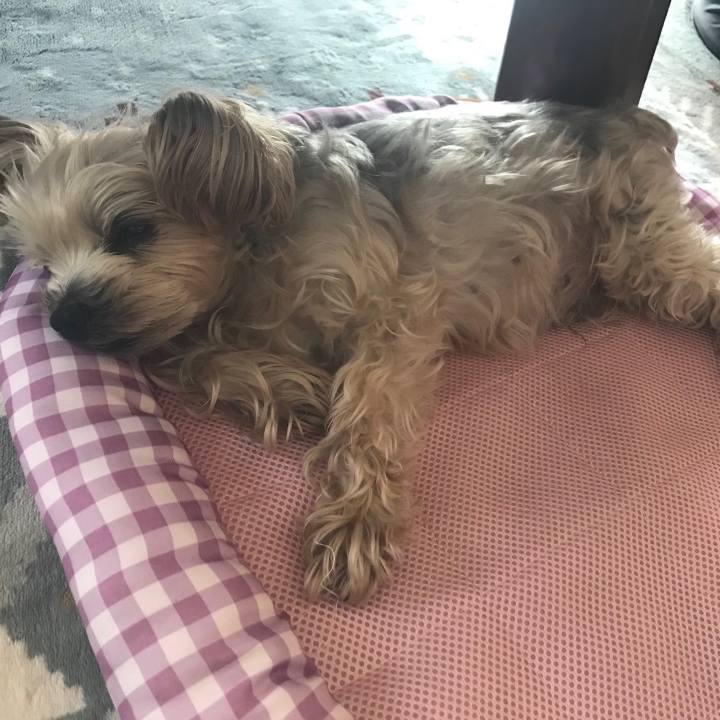 B82ab221 d8d6 4b65 bc7c eab973d2c5f8 1556525238315