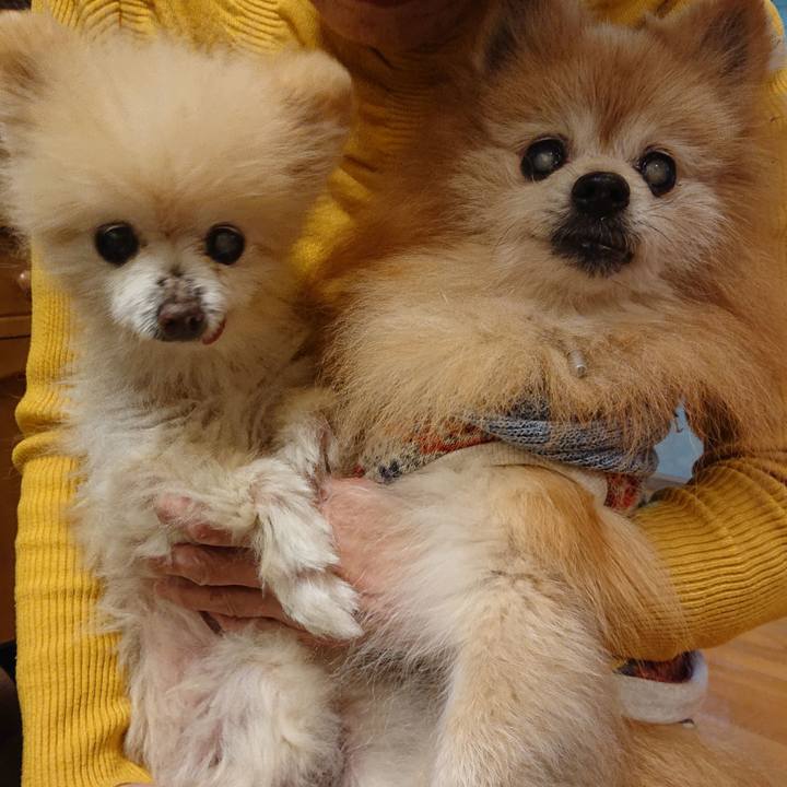 B82b8a3a 73ed 4066 aa68 cfe89011adb0 1703932461767