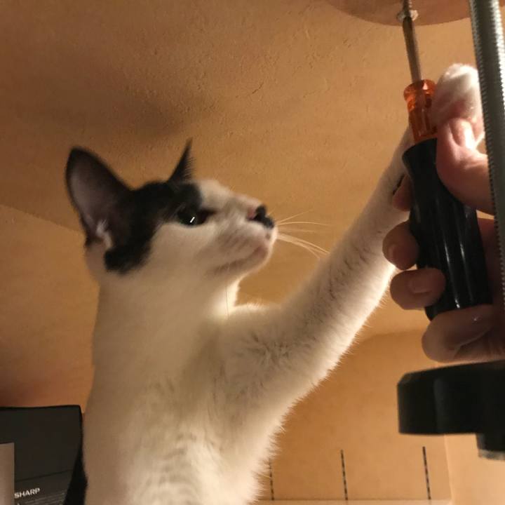 B82b9d92 731a 481b 8356 d71b054b88c6 1535285169022