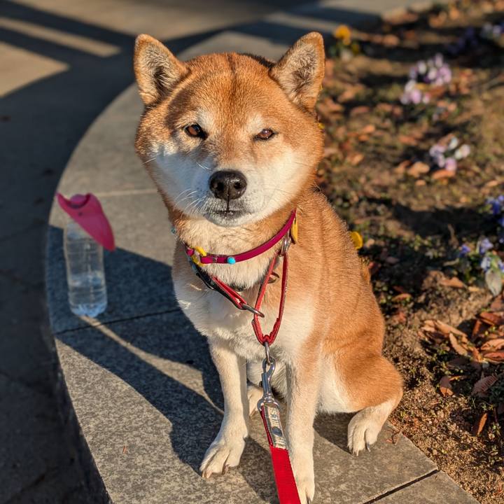 B82bb04e 23da 4f25 a8ca 77bcf5d83461 1736037239428