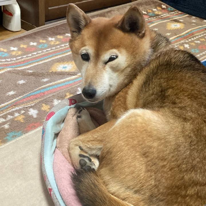 B82bda06 43c0 45e7 a1b6 42cbfd53b4d3 1645070930037