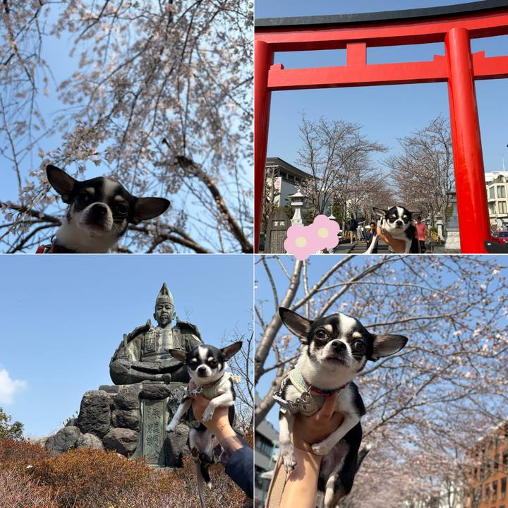 B82c025c a5fd 406a b883 d6516d8e7689 1774771617107