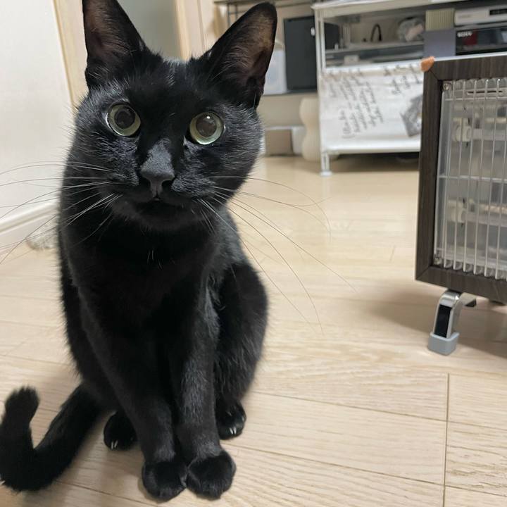 B82c0631 fd77 4614 896d 829e0f0ba0b5 1640700770162