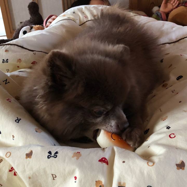 B82c0f8d e3db 4333 908f ee1ed45ec7fc 1546316304516