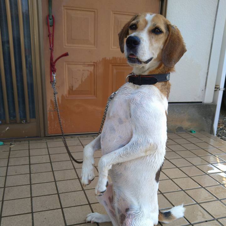 B82c2562 271d 44da a7f4 acd0ecc0ff7e 1660274666654