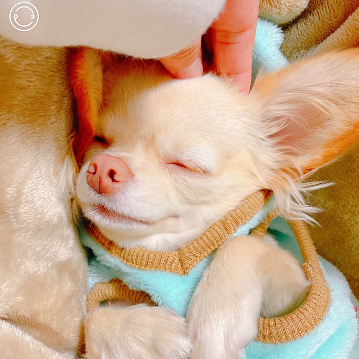 B82c2836 74a8 4c51 99a7 36227169ef44 1638881312475