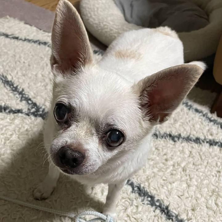 B82c57b9 fede 4dc2 a0df a47774158a9c 1696659895777