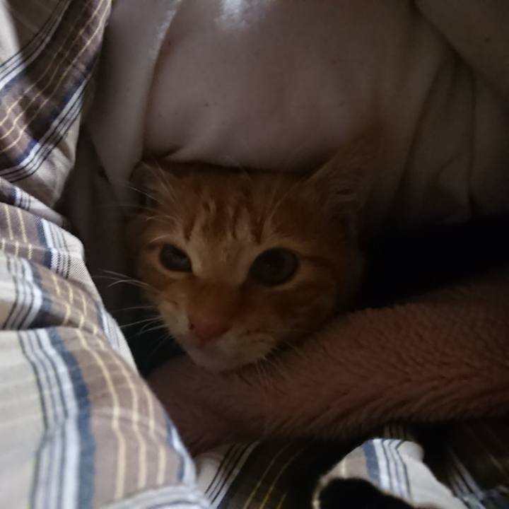 B82c8f18 c2ff 4f02 ba62 77c1ab7e4038 1637786764008