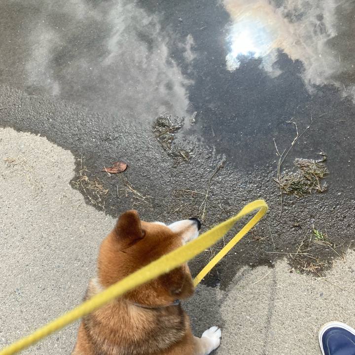 B82ccede 4258 4750 b3b1 579240155a74 1653301540034