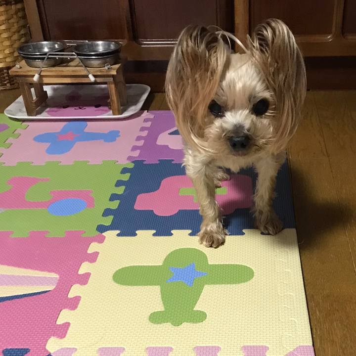 B82cd2fe f89c 408e 97e2 8ecfc97dca2e 1627725825625