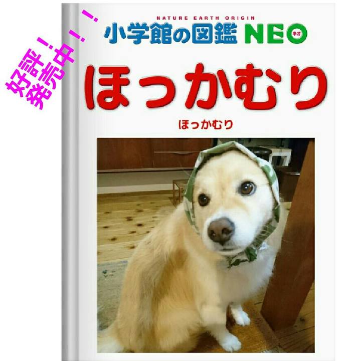 B82cdad6 93e3 46ee a1ad 92f076b0597f 1578199862583