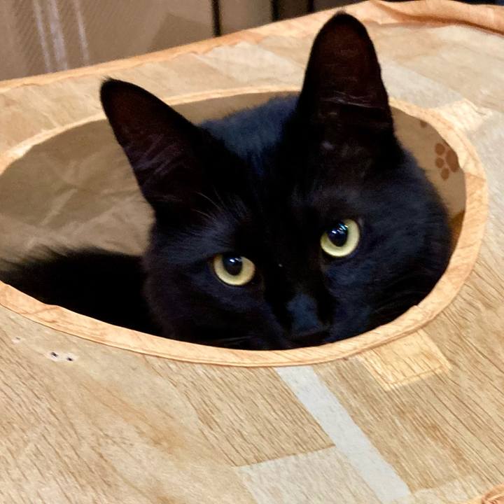 B82cdd2b 1de4 499b 9727 7d289595f799 1740185875997