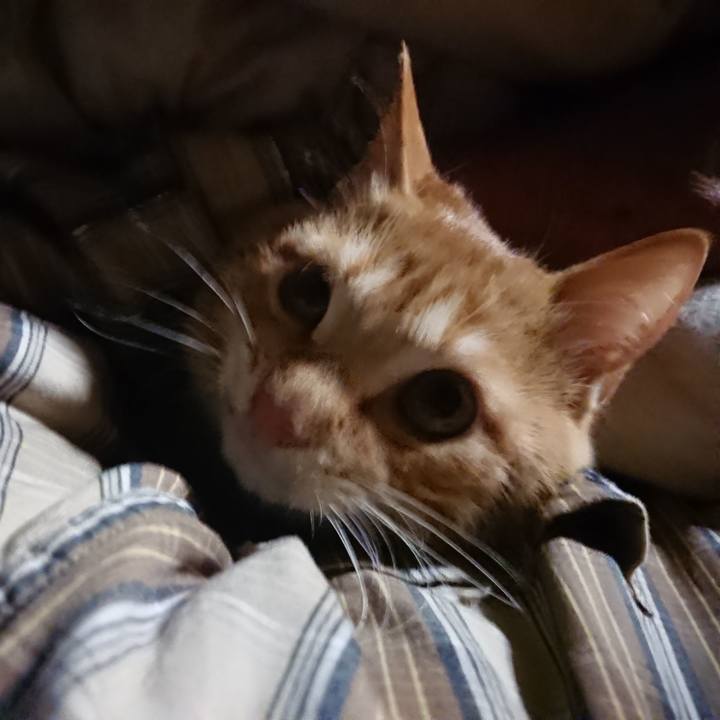 B82d0c67 0654 46fb 82cf c0a4c4a4644a 1638736897215