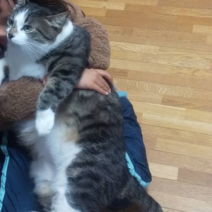 B82d1e4f dca7 4542 8835 f7fbc6635ea0 1672733223633