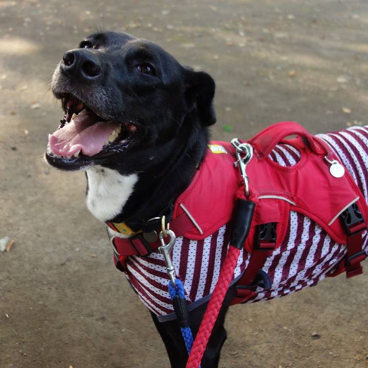 B82d491d f77d 41d9 961b 91831dc7a97d 1596672711913