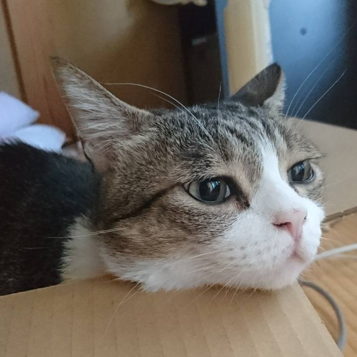 B82d4fd8 fc3d 4b3f ae2a df794e05223f 1535078223897