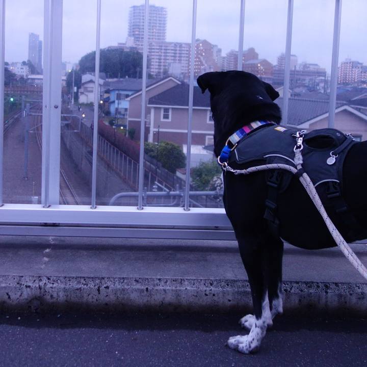 B82d7358 a32a 49d6 9031 ff451ecfefec 1652697124929