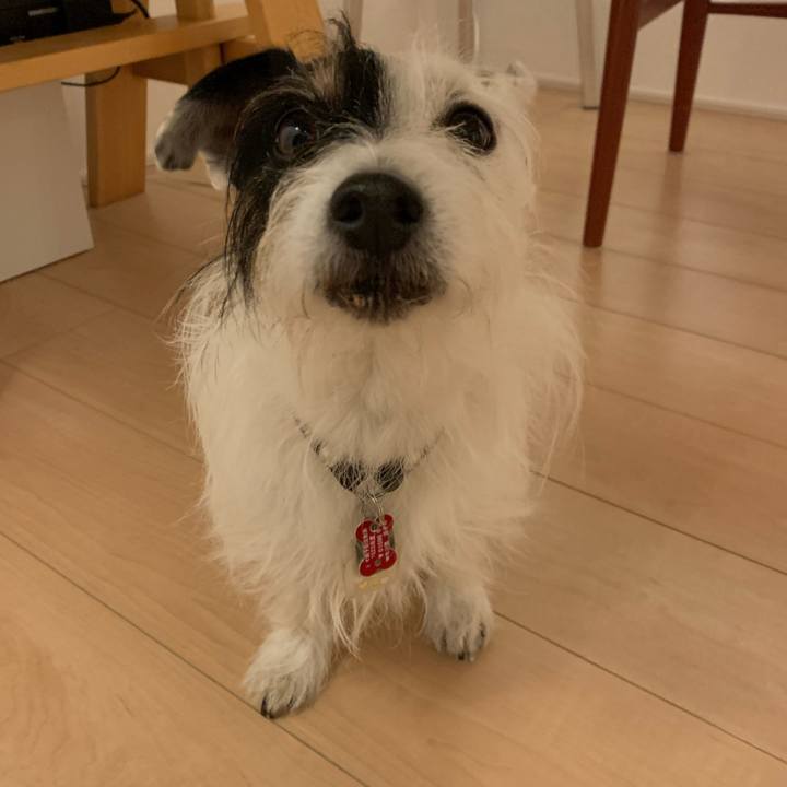 B82dac99 c90f 44ab 8e30 1d8a5e980dcf 1703585526782