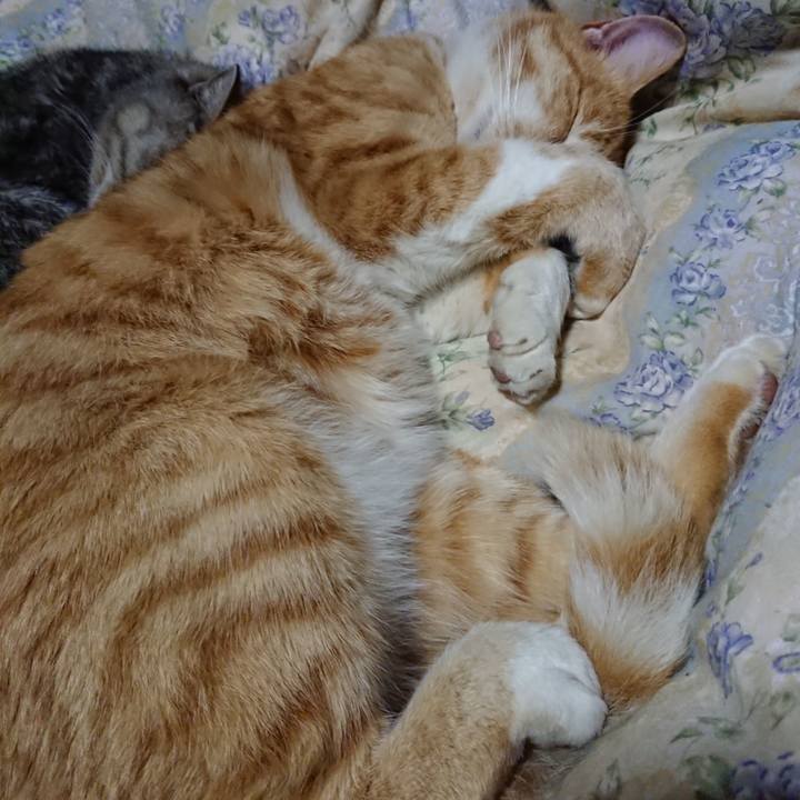 B82dbf92 2d55 4abd afbf 611584dc8fbc 1576155525757