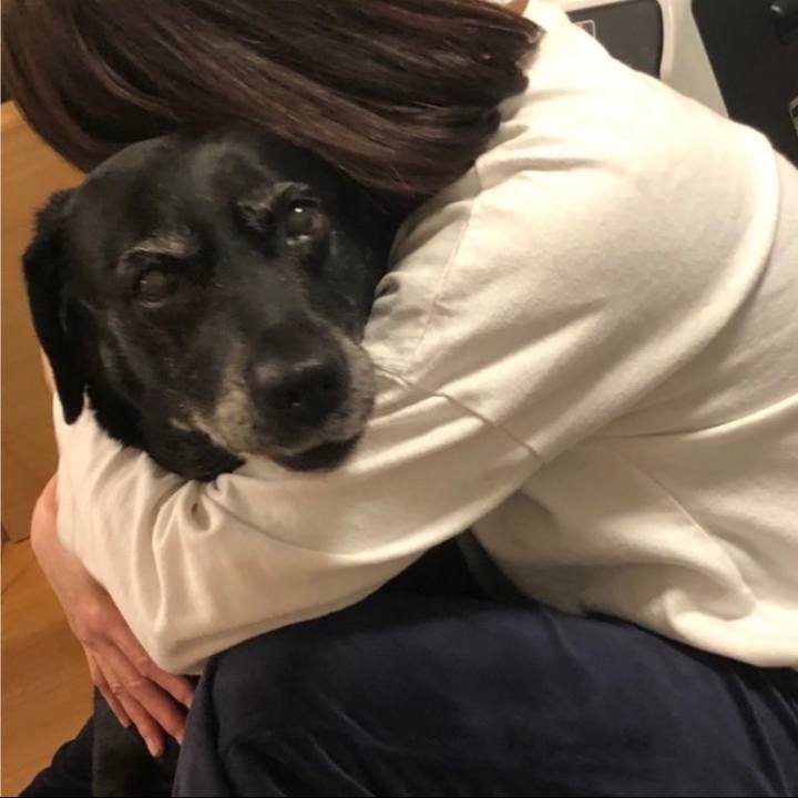 B82e0054 c197 499a 84a1 49e197365196 1669984459627