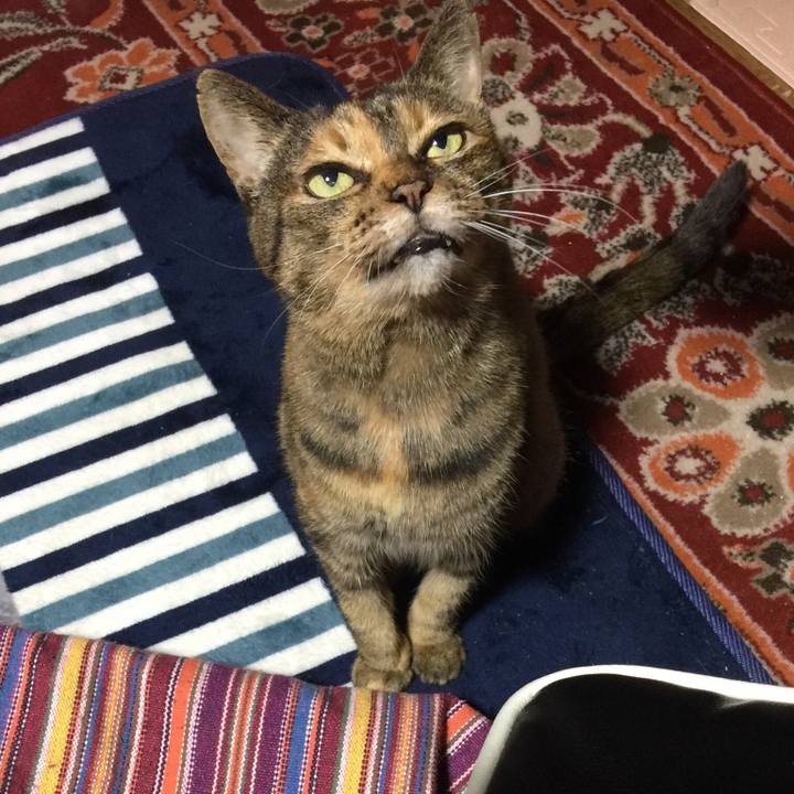 B82e075a e96b 44f4 be00 d23e534d382a 1544784802113