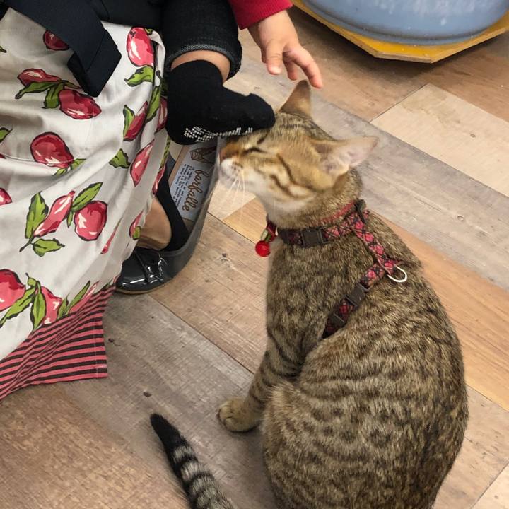 B82e459a bb7a 4623 abe8 c048cfb72f6c 1583887553943