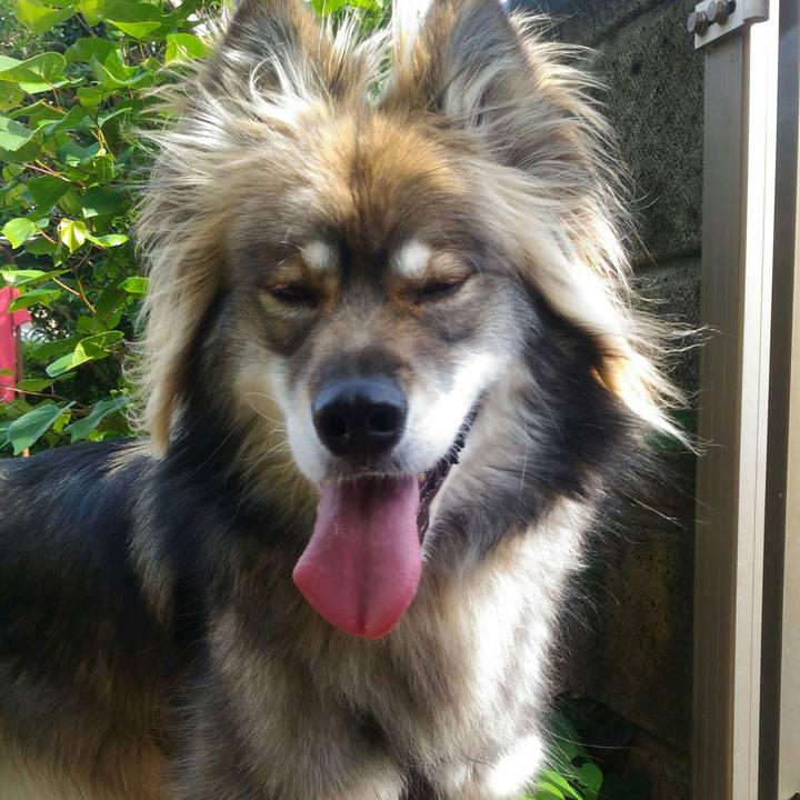 B82e82ce a011 4f98 8cbc 1572b03f46c8 1561392109054