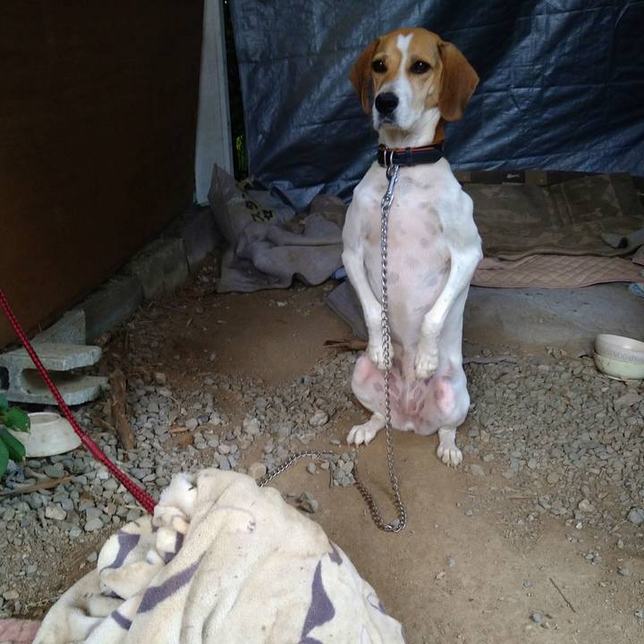 B82ecb75 7222 4a7c b676 7d6dfa614932 1631088845136