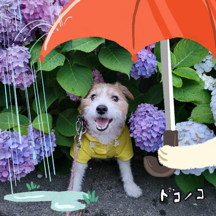 B82ed486 3d80 4c59 88ae 36a47d6e00b4 1749513954583