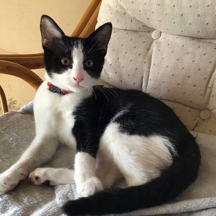 B82eeab1 58c0 4969 812a 874a5a82489f 1628666325623