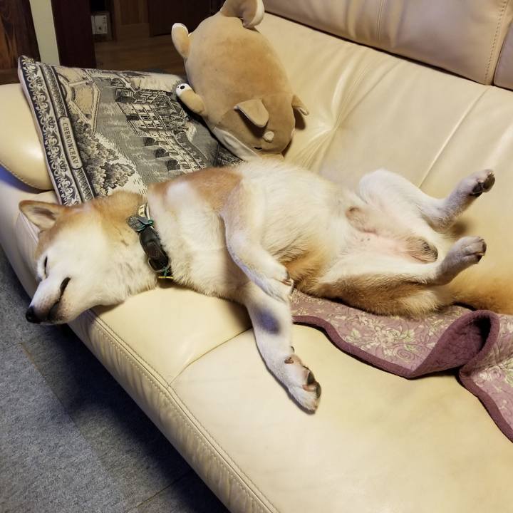 B82ef3e2 c542 4797 ac90 c1361423a437 1628341226969