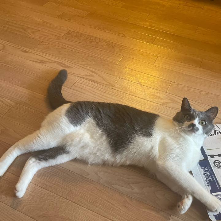 B82f20fd 922b 4d5d 99d8 3595db1f0b22 1664239236036